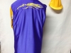bluechestyellowhorseyellowsleeves