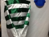 white with green stripes-09142015